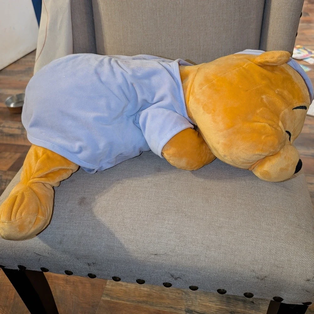 Disney parks winnie